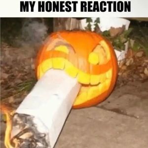 Meet your Posher, Gabe